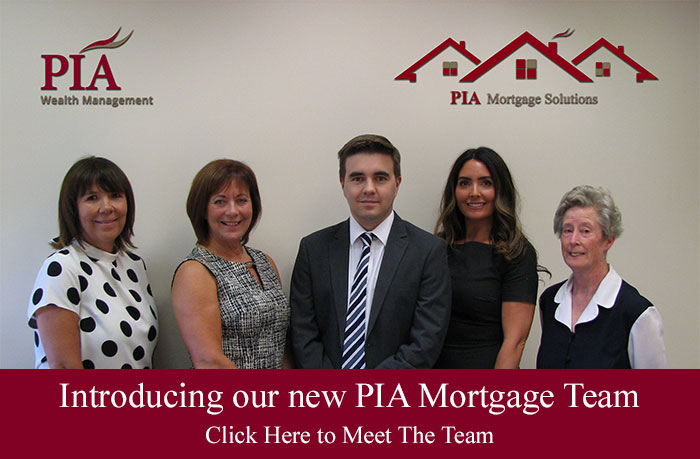 Meet the Team